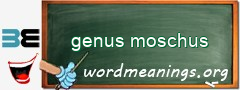 WordMeaning blackboard for genus moschus